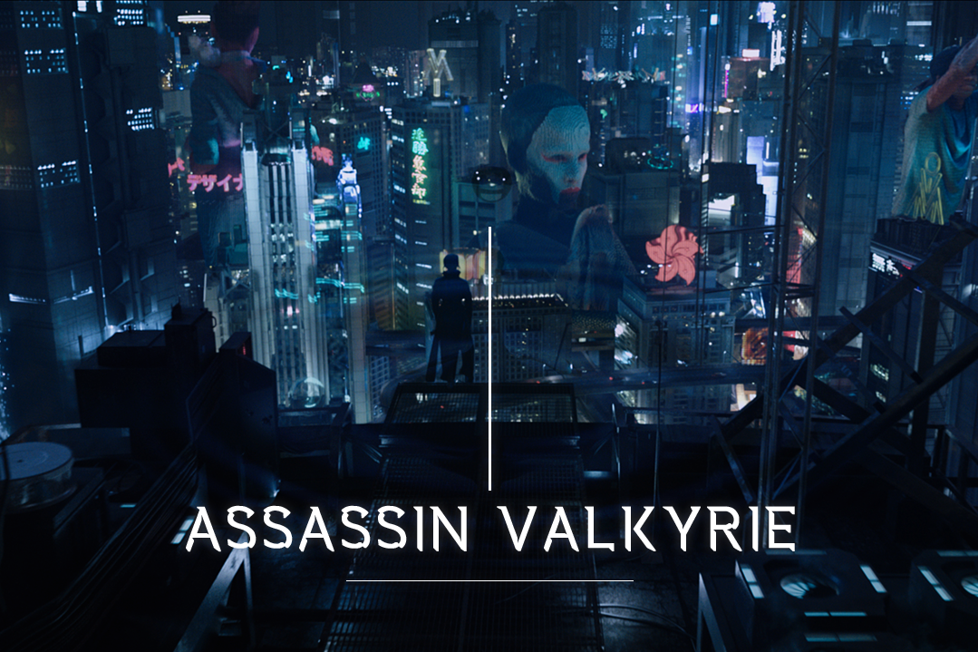 Assassin Valkyrie